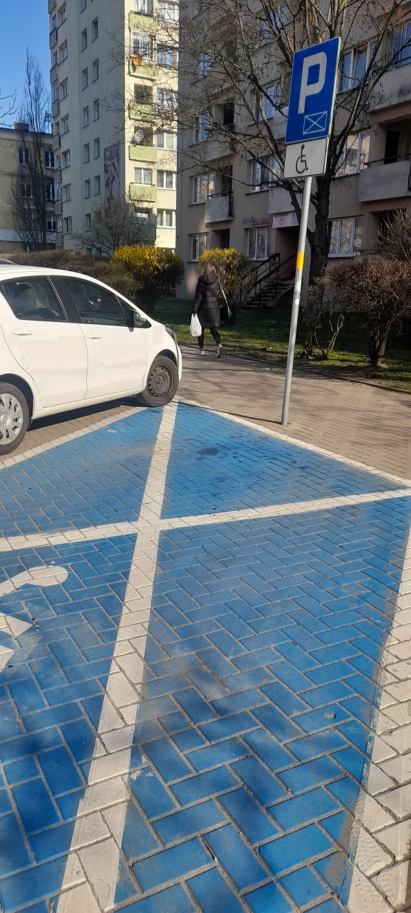 Opis alternatywny znajduje się w treści