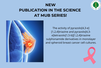 Link: Sulphonamide derivatives in the fight against breast cancer. 